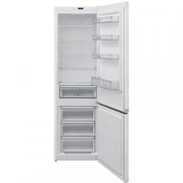 Холодильник Vestfrost CLF384EW Фото 1