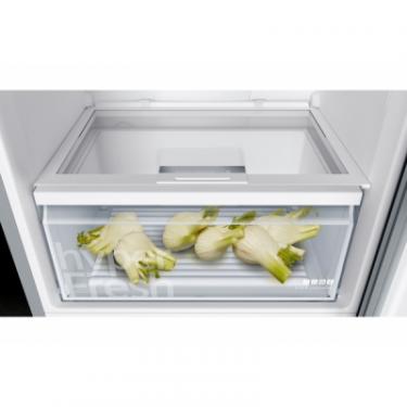 Холодильник Siemens KG46NUI30N Фото 4