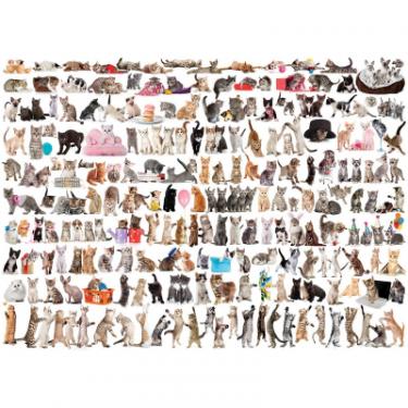 Пазл Eurographics Мир кошек, 1000 элементов Фото 1