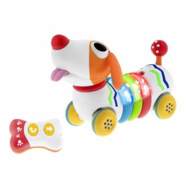 Развивающая игрушка Chicco Dog Remi на радиоуправлении Фото