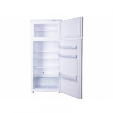 Холодильник Snaige FR240-1101AAA Фото 3