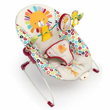 Кресло-качалка Bright Starts Playful Pinwheels Фото