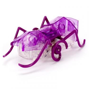 Интерактивная игрушка Hexbug Нано-робот Micro Ant, фиолетовый Фото