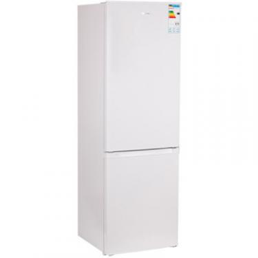Холодильник Delfa BFH-190 Фото