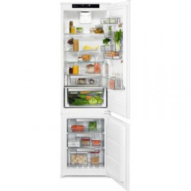 Холодильник Electrolux LNS9TD19S Фото