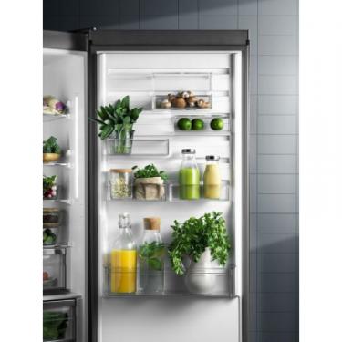 Холодильник Electrolux LNS9TD19S Фото 1