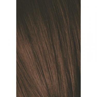 Краска для волос Schwarzkopf Professional Igora Royal 5-6 60 мл Фото 1