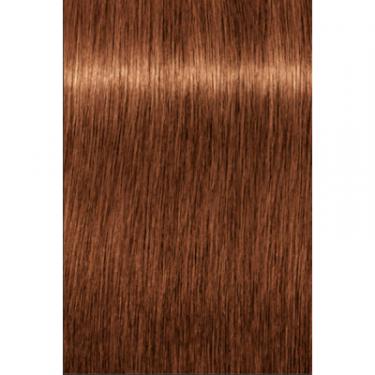 Краска для волос Schwarzkopf Professional Igora Royal Dusted Rouge 7-764 60 мл Фото 1