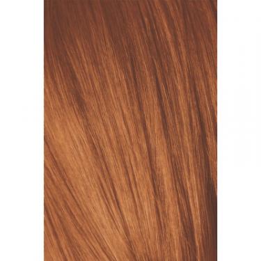 Краска для волос Schwarzkopf Professional Igora Royal 8-77 60 мл Фото 1