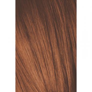 Краска для волос Schwarzkopf Professional Igora Royal Absolutes 7-70 Медный натуральный 60 м Фото 1