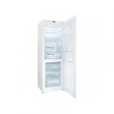 Холодильник Snaige RF56SG-P500NF Фото 2
