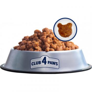 Сухой корм для кошек Club 4 Paws Преміум. Підтримка здоров'я сечовидільної системи Фото 2