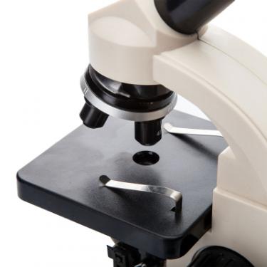 Микроскоп Sigeta Bio Five 35x-400x Фото 2