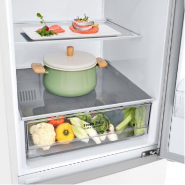Холодильник LG GW-B509CQZM Фото 7