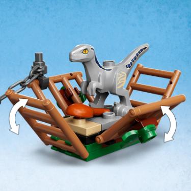 Конструктор LEGO Jurassic World Полювання на Блу і Бета-велоцирапто Фото 7