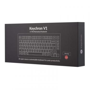 Клавиатура Keychron V1 84 Key QMK Gateron G PRO Blue Hot-Swap RGB Carb Фото 11