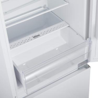 Холодильник Eleyus RFB 2177 DE Фото 9