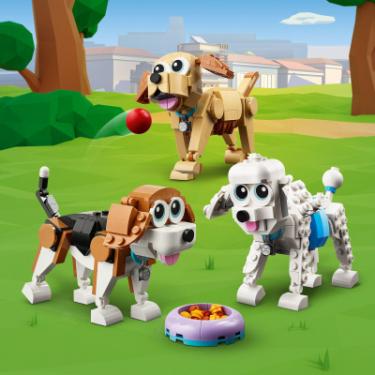 Конструктор LEGO Creator Милі собачки 475 деталей Фото 2