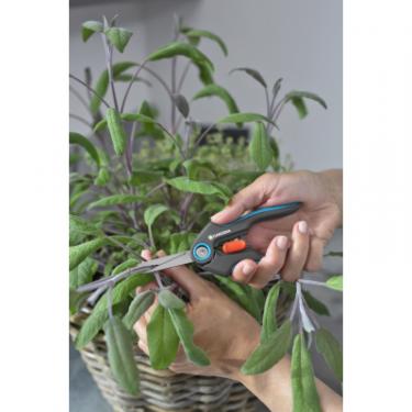 Ножницы садовые Gardena FreshCut для трави і квітів Фото 9