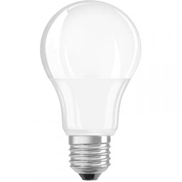 Лампочка Osram LED CL A65 9W/840 12-36V FR E27 Фото