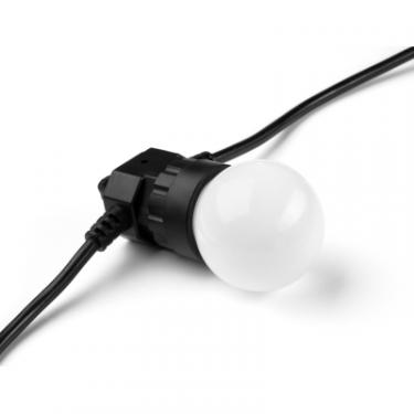 Гирлянда Twinkly Smart LED Twinkly Festoon RGB 20, G45, Gen II, IP4 Фото 7