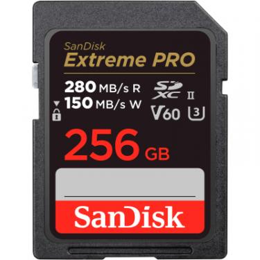 Карта памяти SanDisk 256GB SDXC class 10 UHS-I Extreme Pro Фото