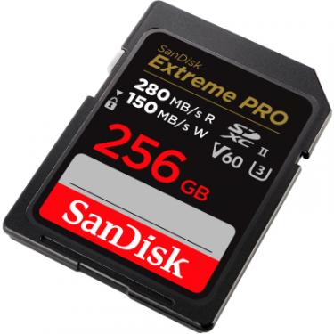 Карта памяти SanDisk 256GB SDXC class 10 UHS-I Extreme Pro Фото 1