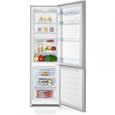Холодильник Gorenje RK4182PS4 Фото 1