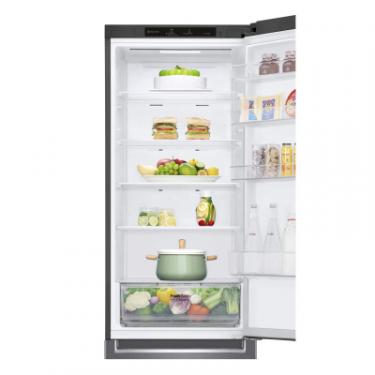 Холодильник LG GC-B509SLCL Фото 6