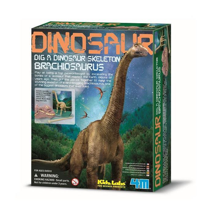 Набор для экспериментов 4М Скелет брахиозавра Фото
