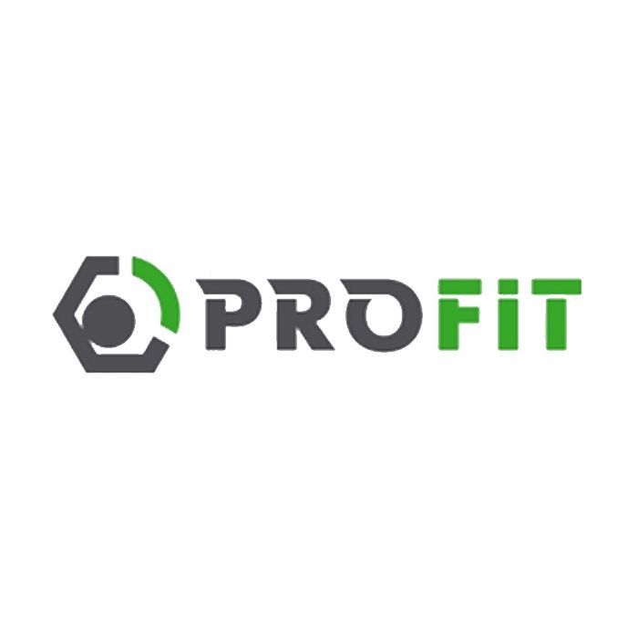 Воздушный фильтр для автомобиля Profit 1512-4131 Фото