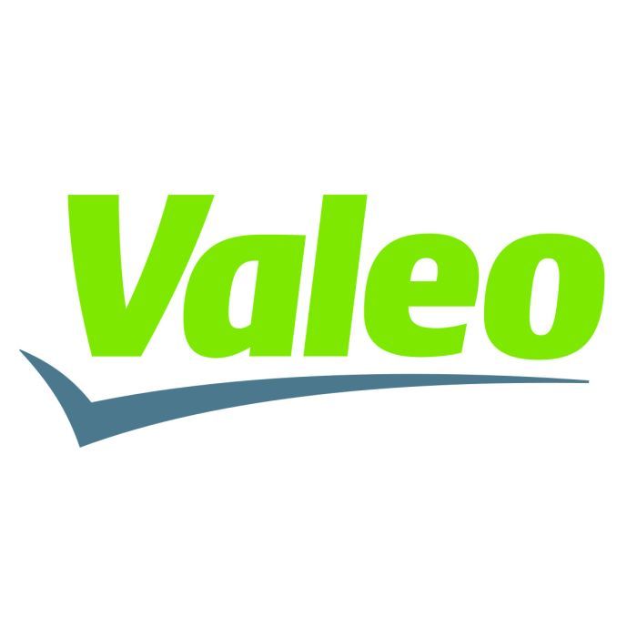 Воздушный фильтр для автомобиля Valeo 585491 Фото
