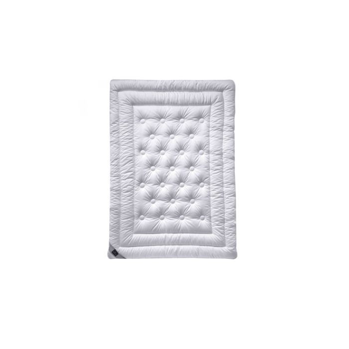 Одеяло Billerbeck 341 Meisterkl. Superlight 155x220 см Фото