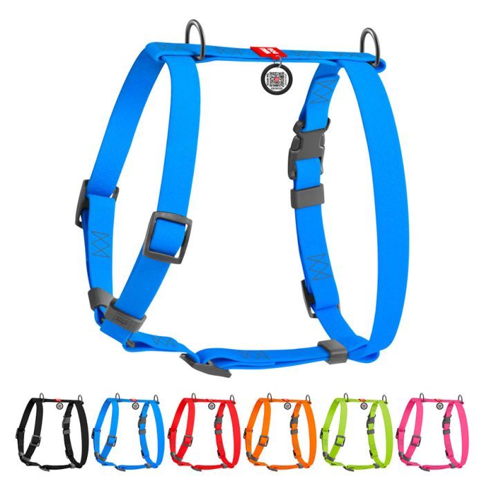 Шлей для собак WAUDOG Waterproof Н-образная анатомическая L голубая Фото