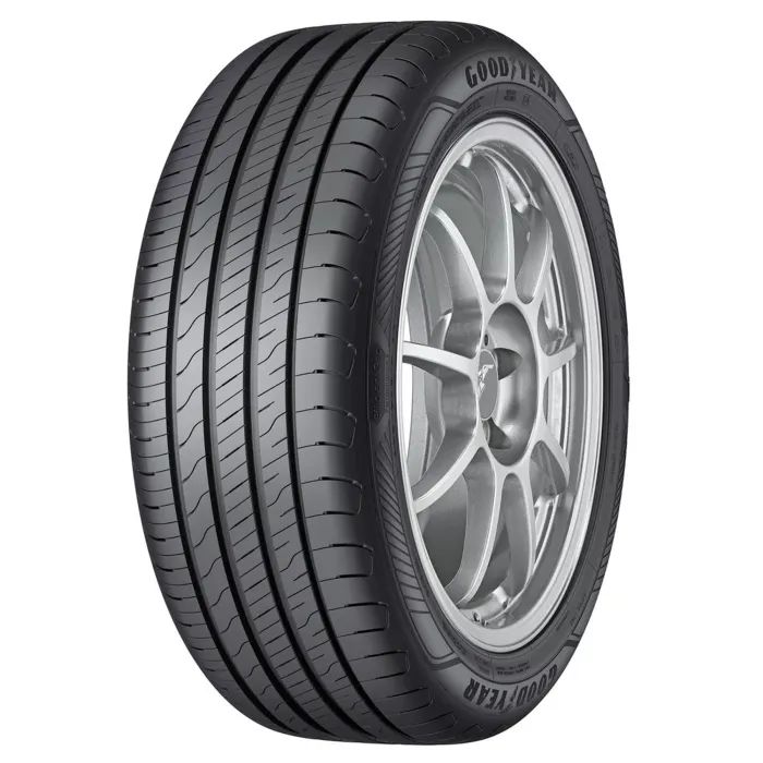 Шина Goodyear EfficientGrip Performance 225/55R16 95W Фото