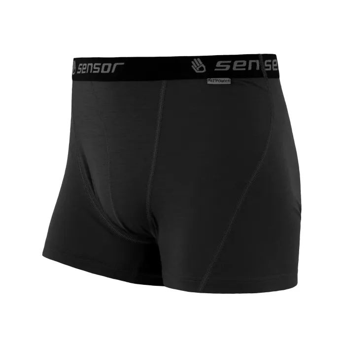 Термотрусы Sensor Merino Active black 12110021 L Фото