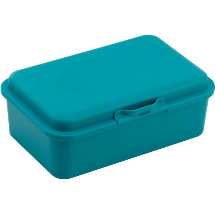 Ланч-бокс детский Economix SNACK 750 мл, бірюзовий Фото