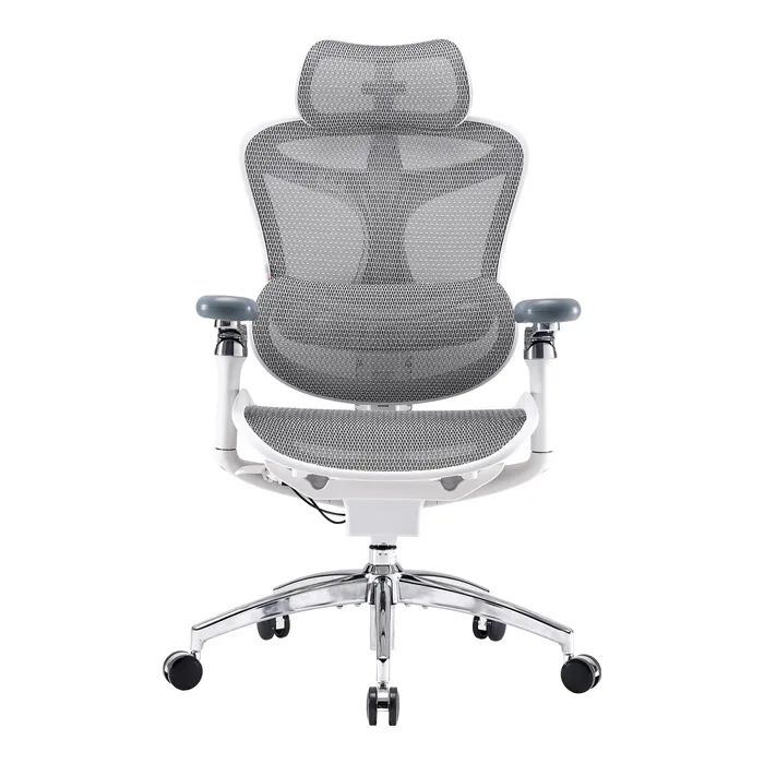 Офисное кресло Sihoo DORO C300 Pro Mesh White Фото