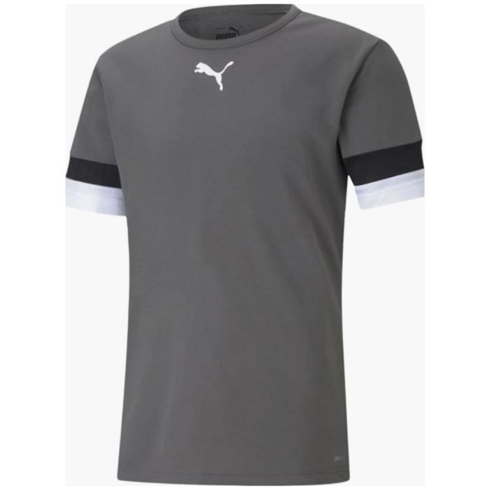Футболка Puma teamRISE Jersey 704932-13 сірий L Фото